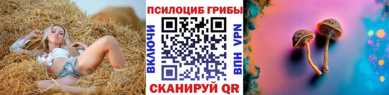 Псилоцибиновые грибы Magic Shrooms Купить закладки Похвистнево